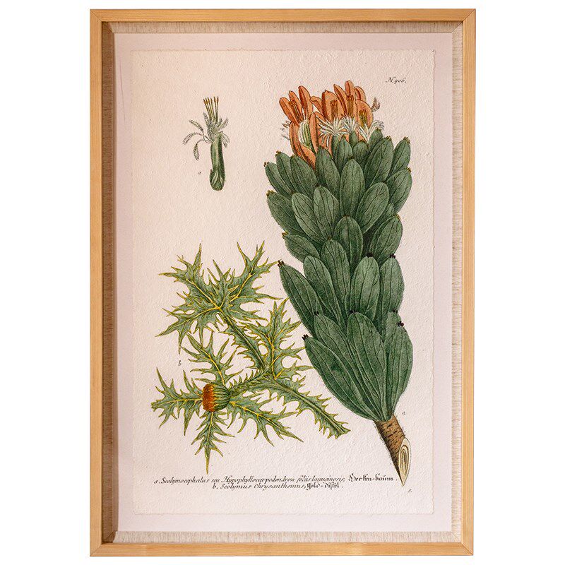 植物图谱装饰画客厅餐厅玄关挂画沙发背景墙复古高级感软装壁挂饰