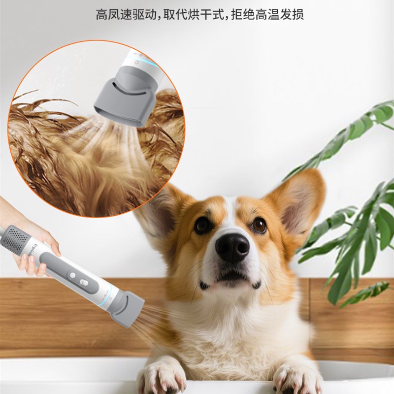 宠物吹水机10分棒高速吹干猫咪烘干手持吹风低音狗狗沐浴金毛洗澡