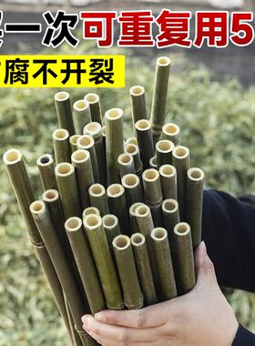 竹竿菜园搭架支架爬藤架小竹子杆2米3米长细竹竿棍支撑架防腐种菜