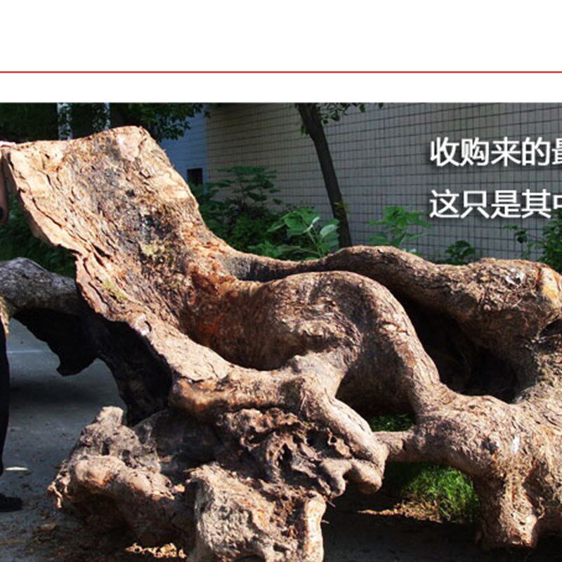 龙脑传奇天然香樟木块衣柜纯樟木条樟木球樟脑丸防虫防蛀驱蟑螂