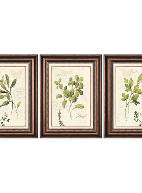 美式装饰画客厅田园挂画餐厅玄关沙发背景墙壁画复古植物卧室墙画
