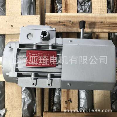 IFGEJ-50-0.25-2刹车电机SFC  Motor