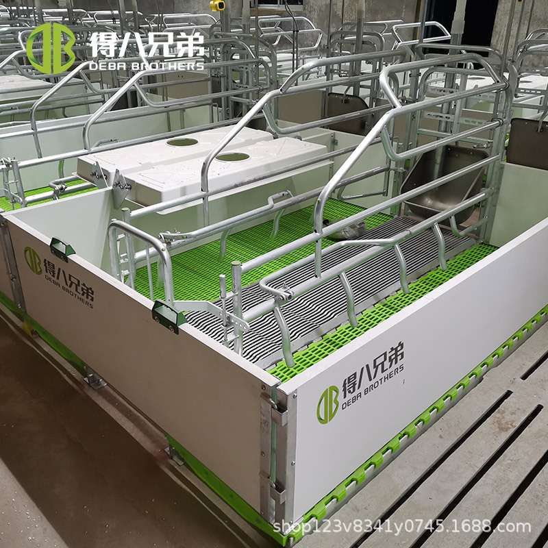 欧式产床保育母猪产床猪用分娩床养猪设备欧式分娩床源头厂家