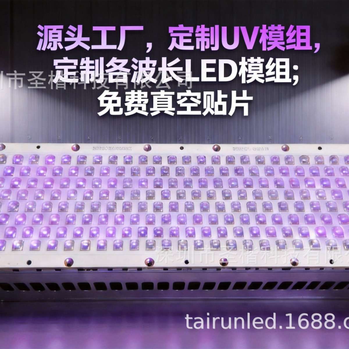 UVLED灯珠紫光模组，UV固化烘干、365紫光LED灯珠、385发光二极管