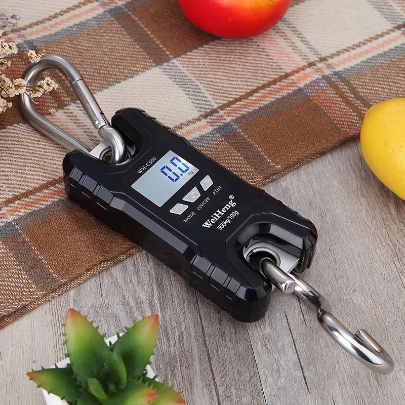 厂家直销威衡微型电子吊秤 电子磅 秤 500KG/100g