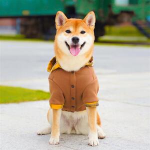一杯热可可 柴犬新年衣服可爱潮帽衫英伦复古外套保暖棉服喜庆红