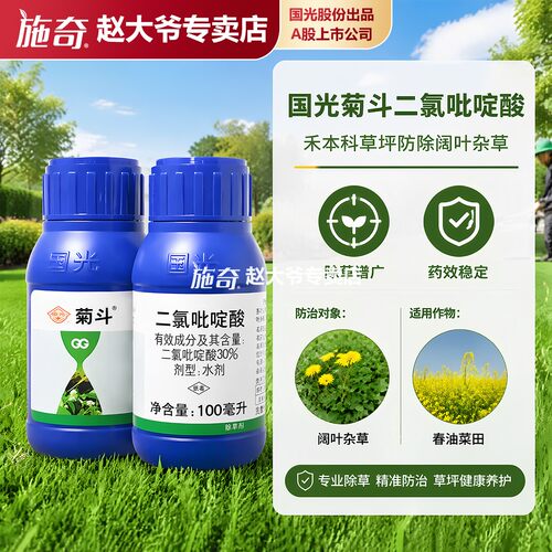 国光菊斗百慕大马尼拉狗牙根黑麦草早熟禾除蒲公英刺儿菜除草剂