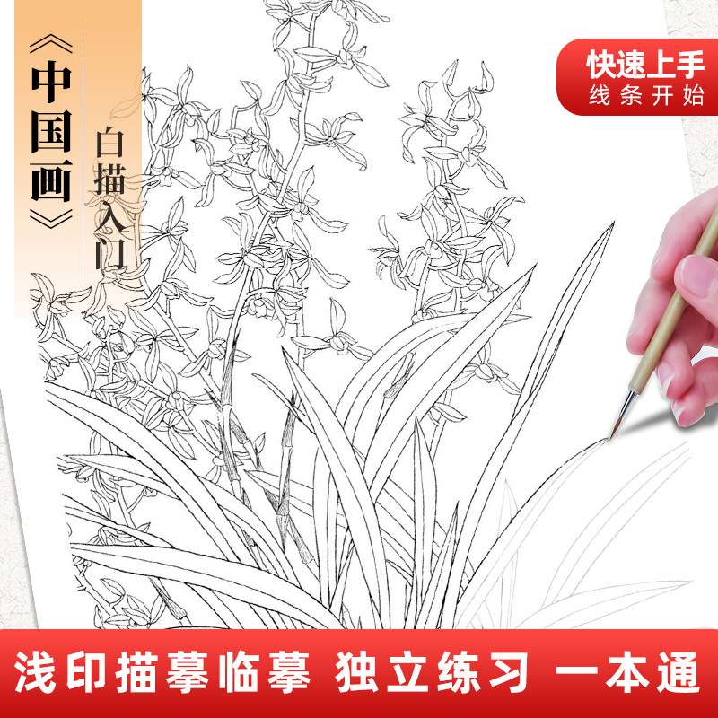 中国画白描入门描摹本 花卉动物山水人物套装学生练笔一件代发