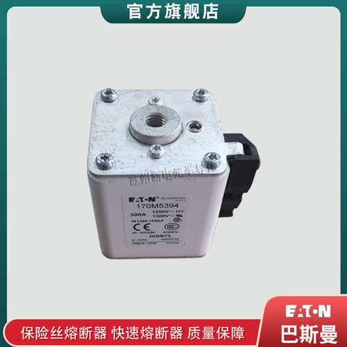 170M5394 5395 5396 5397 5398 巴斯曼bussmann快速熔断器保险丝
