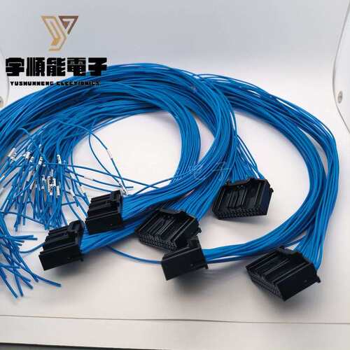 LOTES得意/嘉泽新能源汽车线BMS插头线束 AAUS01AS0-024K01 24PIN