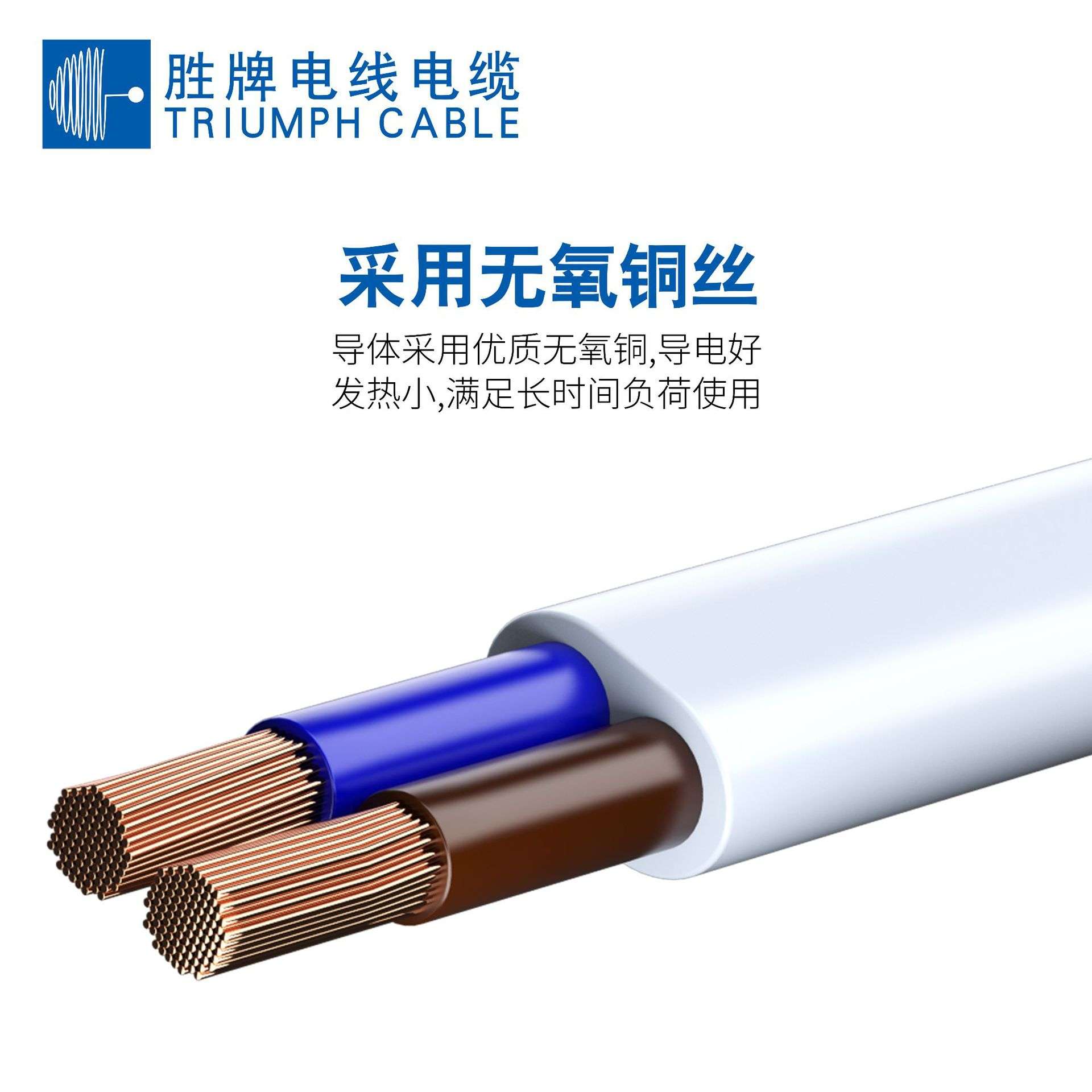 欧规纯铜两芯H05VVH2-F电源线高强度绝缘电线胜牌厂家直销