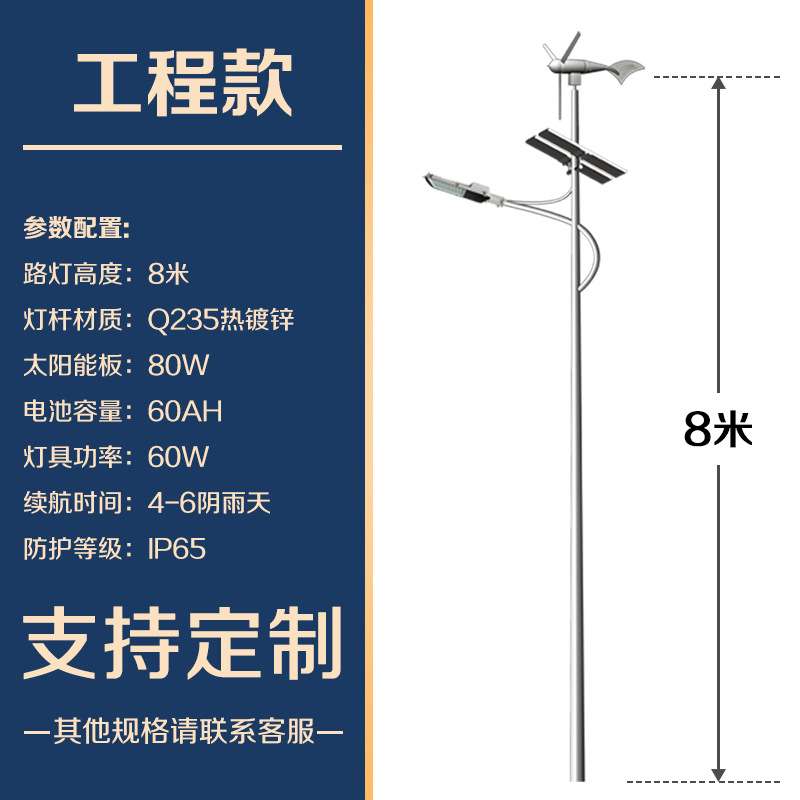 路灯厂家 太阳能发电路灯价格 8米9米100W风光互补市政led路灯