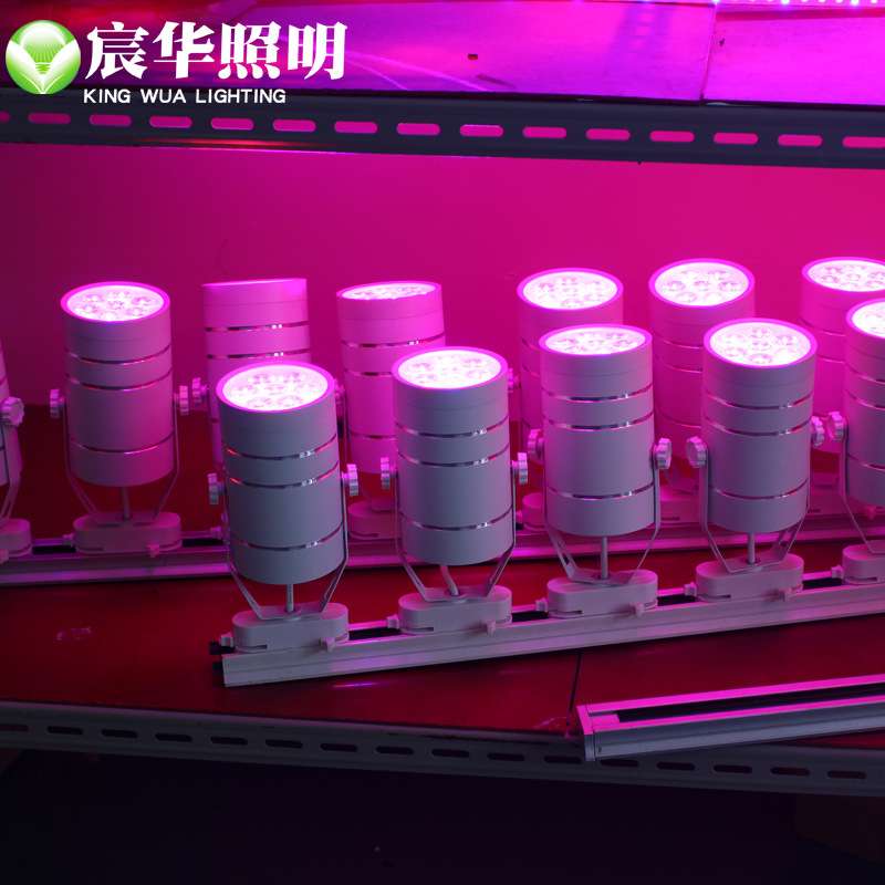 LED植物轨道灯5w 7w植物射灯植物生长补光灯植物墙专用