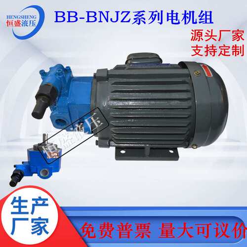 BB-B25NJZ-1 B16N B32N B40N B80 B100NJZ-1立卧式齿轮油泵电机组