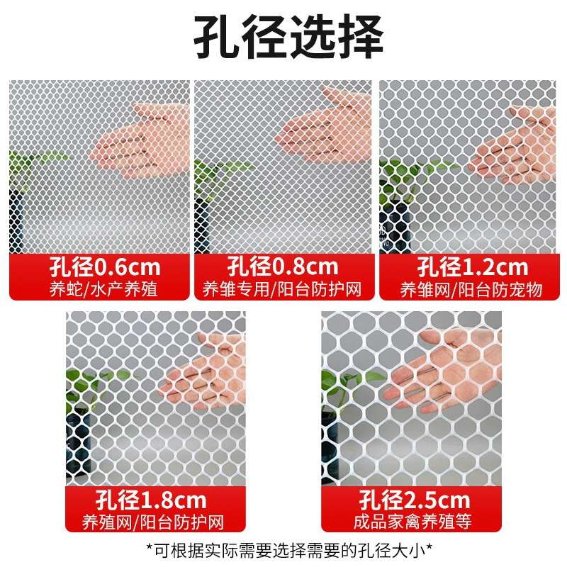 白色塑料平网鸡蛋防笼防锈养殖塑料网鸡蛋防破损蛋托蛋槽防漏垫网