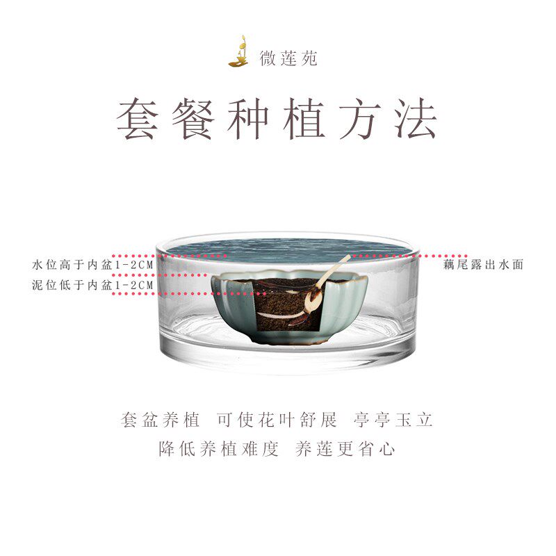 养护套餐《微莲苑 姜永慧》微型碗莲睡莲种植水培钵无孔中式花盆
