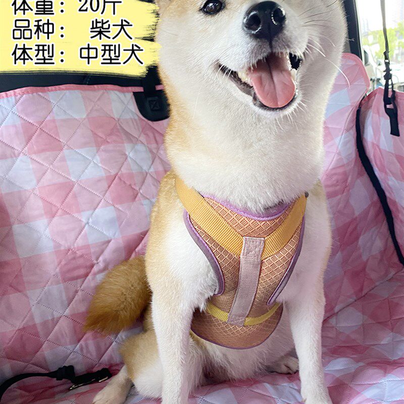 宠物车载垫后排狗垫子后座用坐垫防脏狗狗汽车座椅外出坐车隔离垫