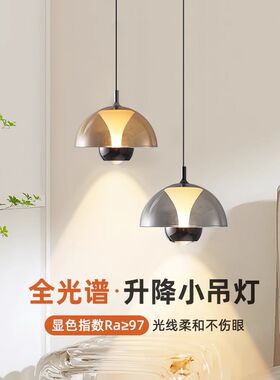 花苞酒吧床头吊灯创意个性艺术可升降伸缩主人房间吊线单头小吊灯