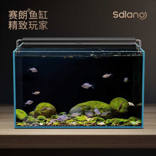 塞朗2代小型背滤超白鱼缸家用生态玻璃金鱼缸一体缸方缸客厅鱼缸