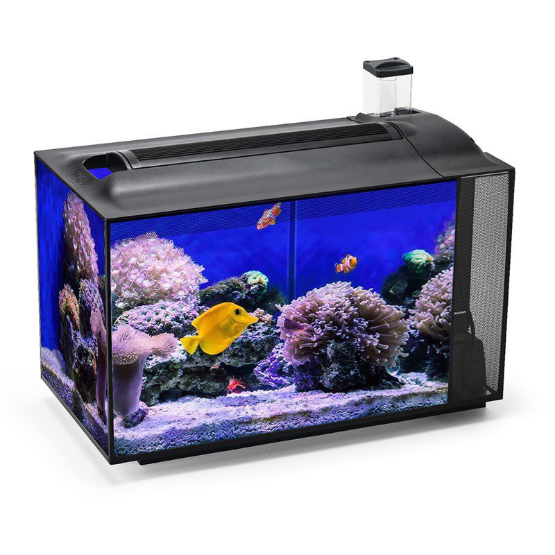 阿诺比台式迷你海水鱼缸套缸蛋白质分离器水族箱桌面侧滤珊瑚缸