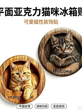 2D亚克力平面冰箱贴磁吸式圆形小猫咪可爱风家庭装饰贴ZX