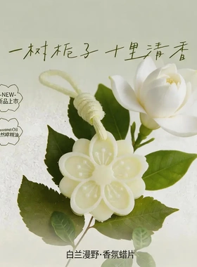 下姜栀子香薰蜡片衣橱衣柜持久留香高级感香氛挂件w
