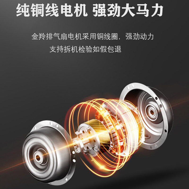 金羚换气扇10寸厨房卫生间强力排气扇天花直排式吸顶扇APT25-4-1