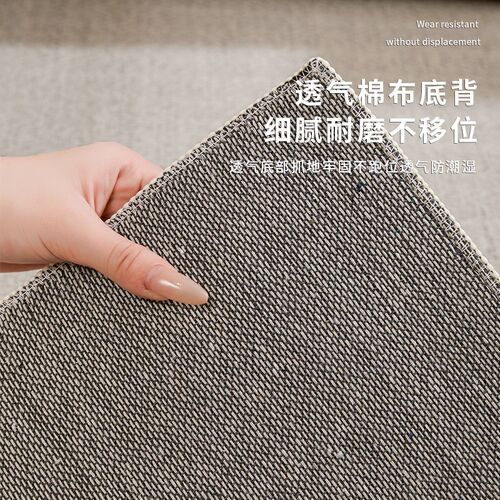 复古轻奢高级客厅2024新款地毯卧室床边地垫防污可擦拭大面积全铺