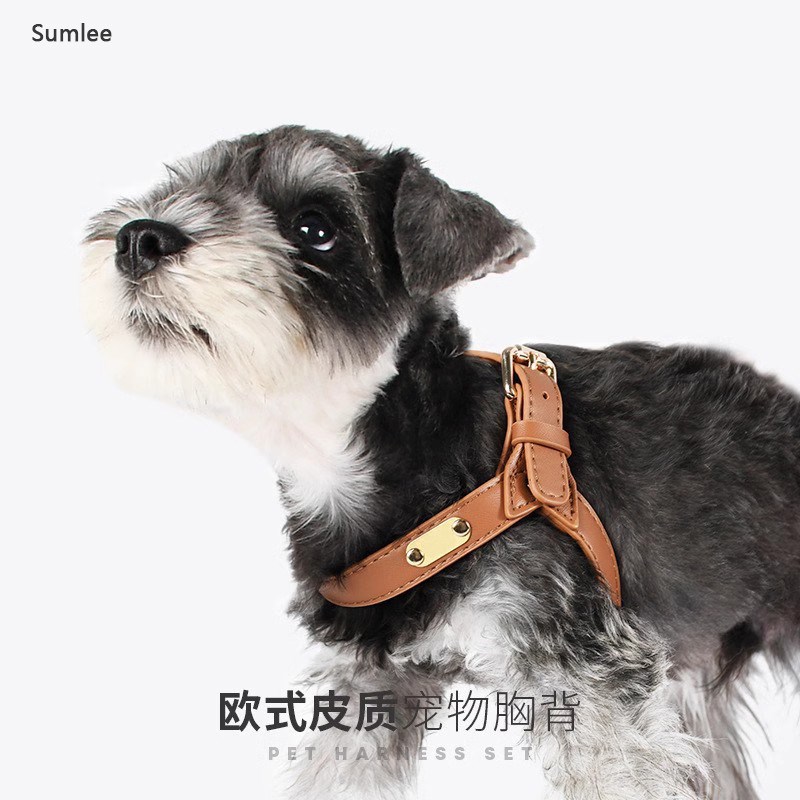 防水柔软皮质小狗狗高颜值胸背带宠物牵引绳套装轻奢小型犬遛狗绳
