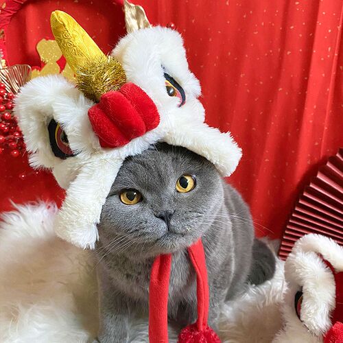 新年宠物舞狮头套猫咪狗狗可爱帽子新年喜庆夹棉加厚保暖头饰拍照