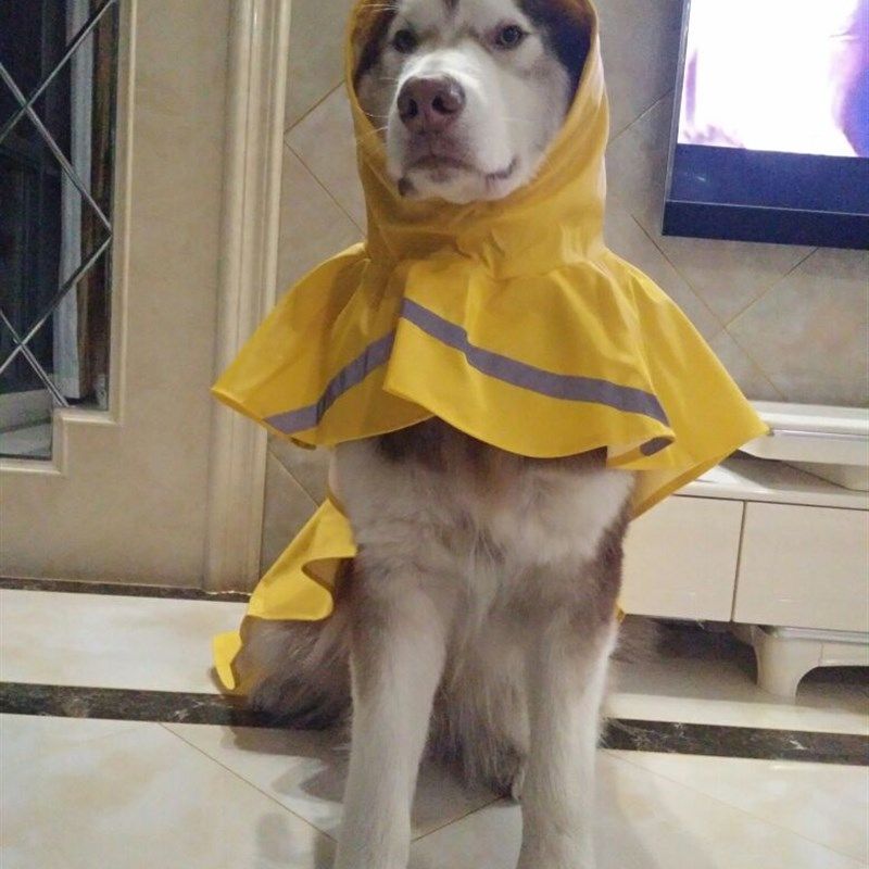 大型犬雨衣狗狗宠物雨披巨型犬大丹犬阿拉斯加金毛雨衣防水定制