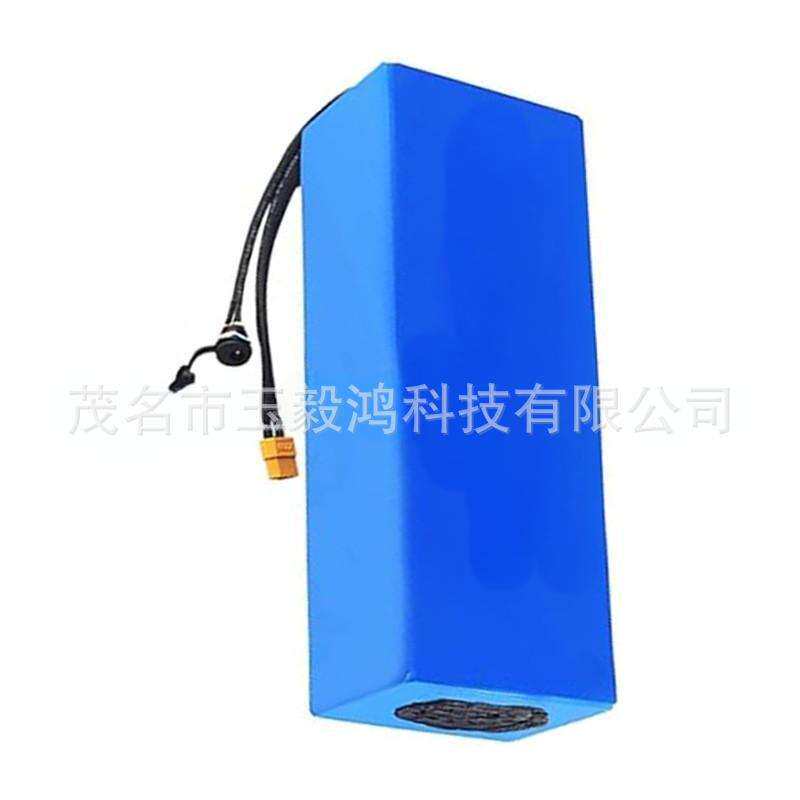 18650锂离子电池组16S 60V 12Ah 15Ah 20Ah 25Ah 适用电助自行踏