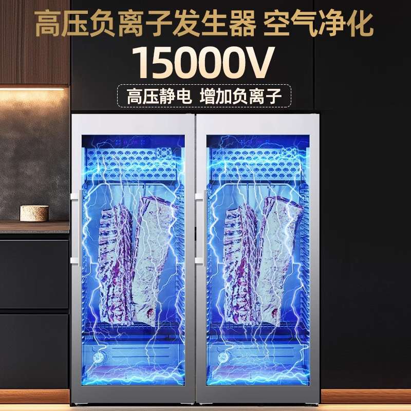牛肉熟成柜干式和牛排酸柜西餐烤肉冷藏火腿恒温冷冻红酒柜展示柜