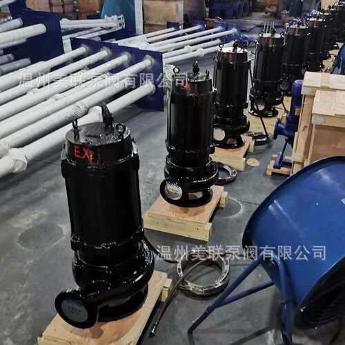 200QWB400-10-22防爆潜水泵 防爆潜水排污泵BT4/CT4