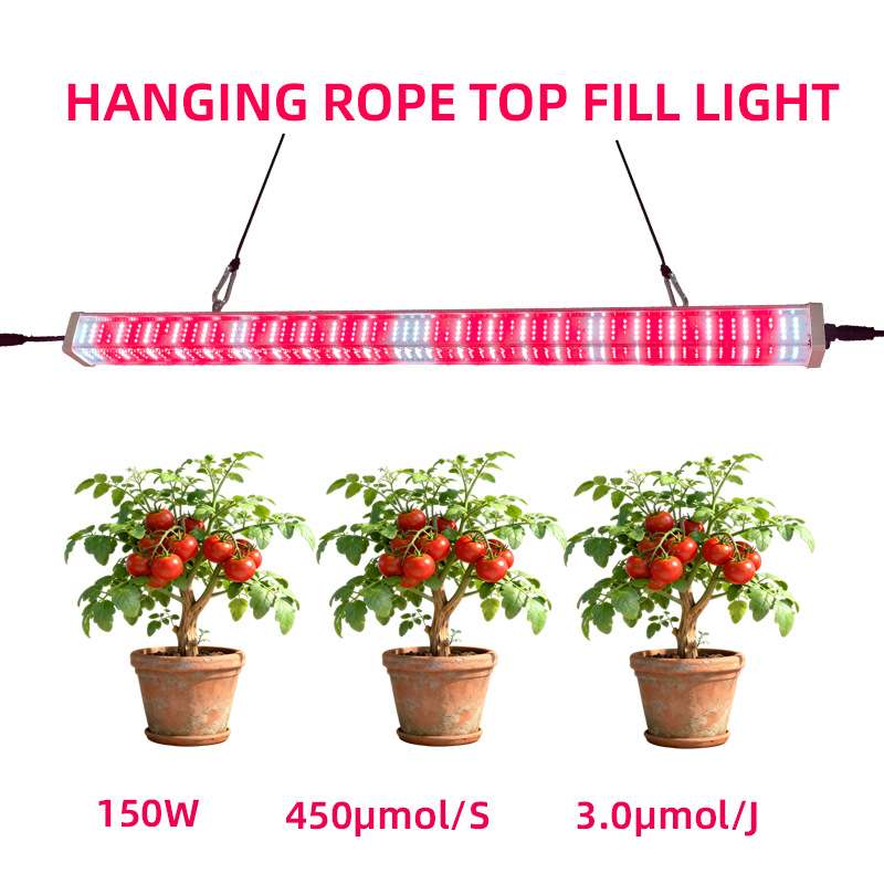 150瓦三面发光植物灯LED红光灯管株间灯番茄草莓补光灯生长灯厂家