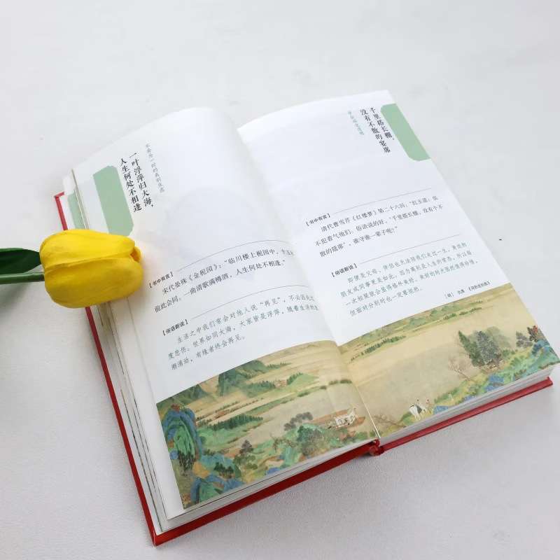 俗话说圣贤经口口相传的人生智慧处世哲学传统文化生存法则哲理书