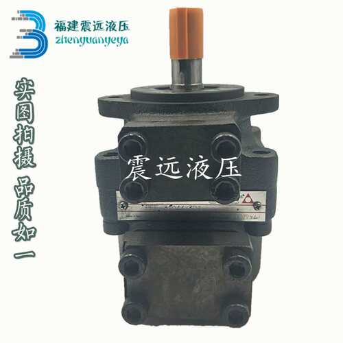 叶片泵PFE-41070/41085/51090/51110/51029/51150/61160/61224