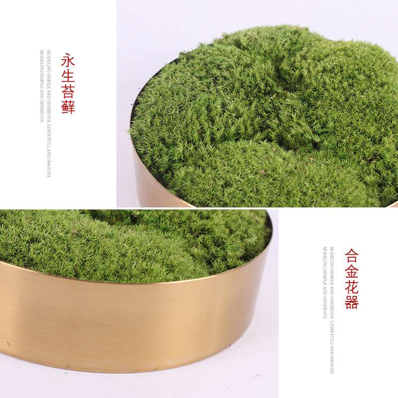 新中式仿真微观绿植枯山水盆景售楼处洽谈桌书房 永生苔藓