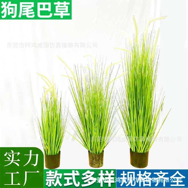 仿真狗尾巴草盆栽家居客厅橱窗绿植装饰摆件芦苇植物高仿真仿真花