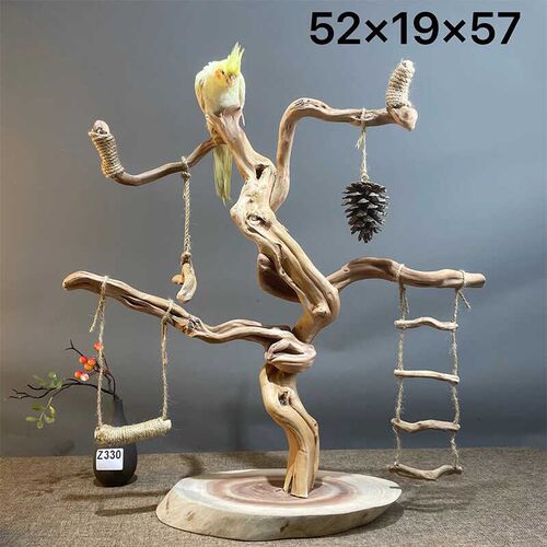 (一物一拍)原木鹦鹉小鸟站架手串收纳装饰小鸟站杆树枝摆件文玩