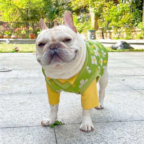 宠物猫咪背心纸样v领马甲泰迪巴哥斗牛犬狗狗模版金毛比熊衣服图
