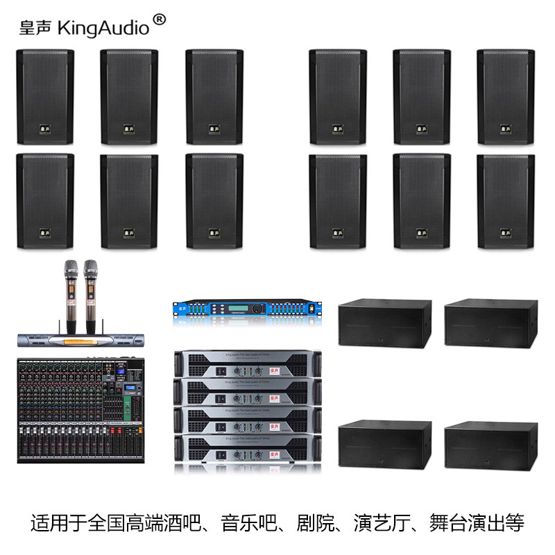 皇 G15一拖12（200-800平方）酒吧音乐吧剧院演艺厅舞台音响套装