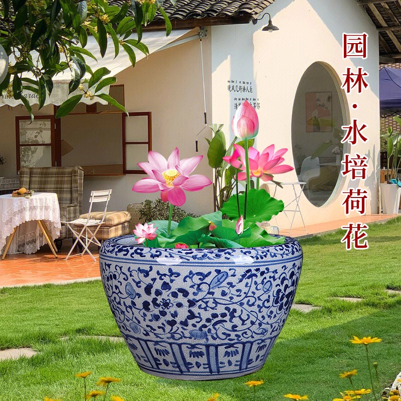景德镇手绘陶瓷大号金鱼缸客厅养乌龟睡莲碗莲荷花盆庭院室外水缸