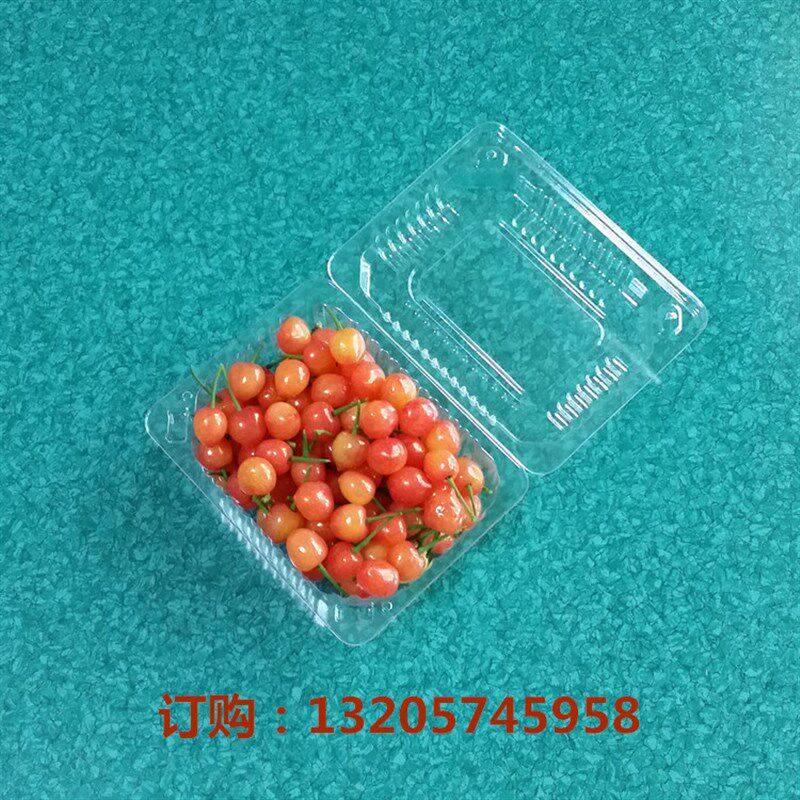 一次性透明塑料包装盒蓝莓蛋盒糕盒糕点盒 水果托盘鲜果切 小盒子
