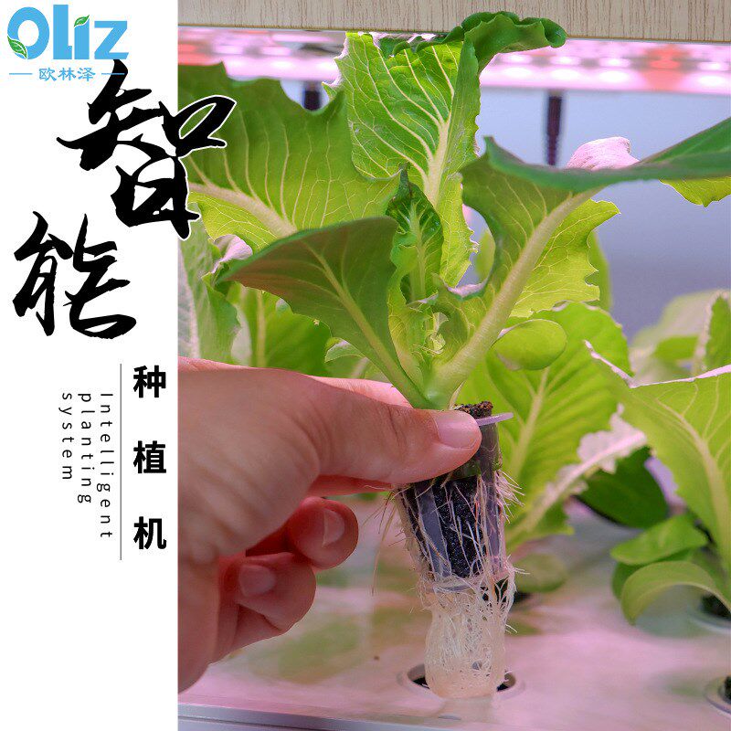 设备水培植物育苗种菜种植箱花卉智能小花盆厂家室内无土栽培蔬菜