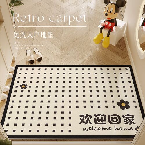 门口地垫入户门外2025新款玄关高级皮革免洗可擦可裁剪法式蹭脚垫