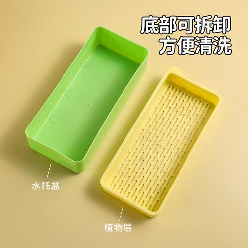 水培猫草盒懒人猫草种植套装猫咪零食成猫幼猫绿植化毛球猫草