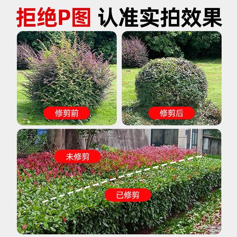 绿篱机背负式电动园林绿化茶叶修剪机重修锂电大功率充电式割草机