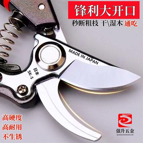 省力修枝剪家用果树修枝剪刀园林粗枝剪刀园艺剪树枝剪