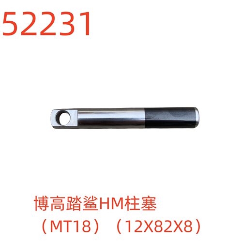 博高踏鲨HM柱塞（MT18）（12X82X8）-52231号